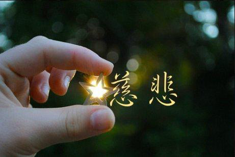 楊定一：慈悲是宇宙最大的能量