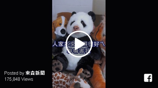 毛小孩超強變裝