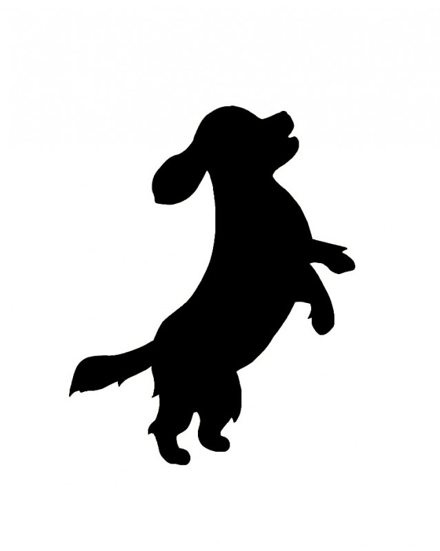 puppy black