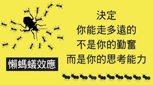 驚人的「懶螞蟻效應」