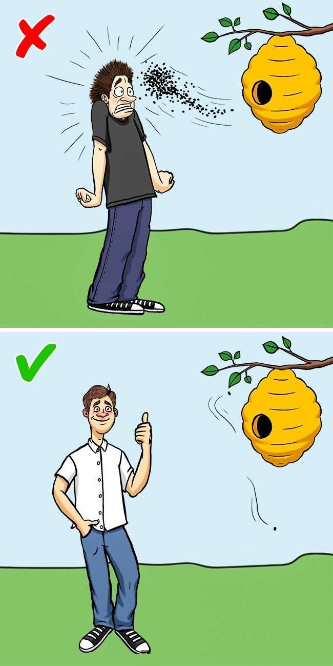 bee