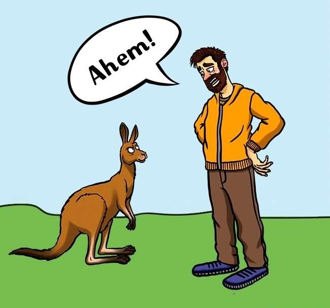 kangaroo