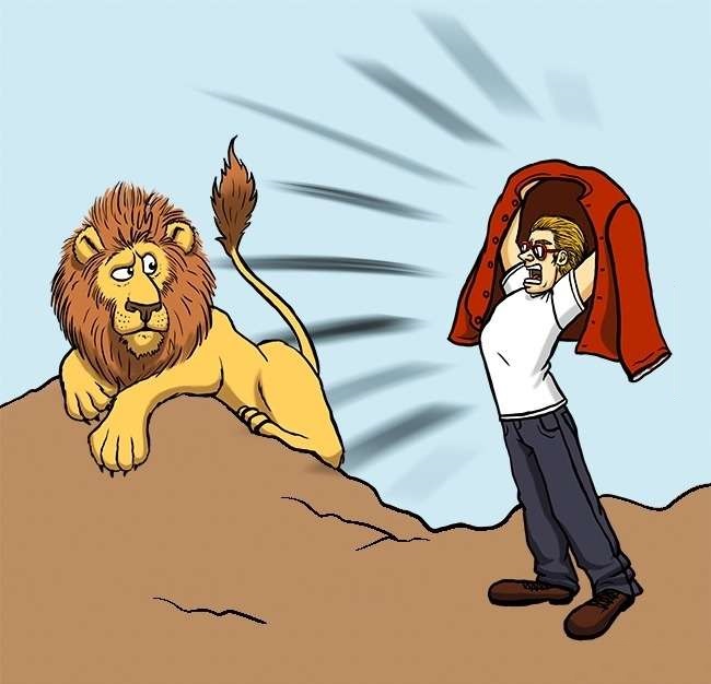 lion