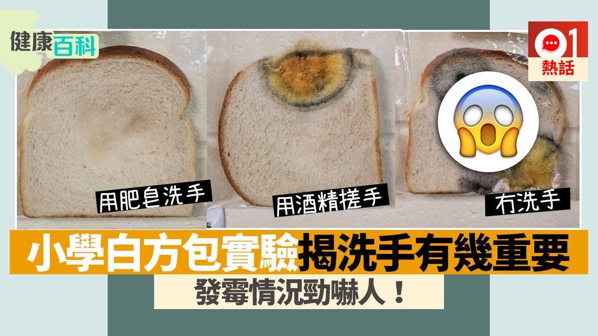 老師教學生勤洗手，用麵包發霉實驗揭驚人結果！