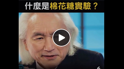 什麼是棉花糖實驗？