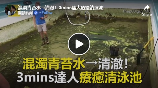 混濁青苔泳池變清澈！看得好療癒