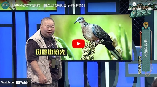 散步交朋友：關渡全能解說員 - 許財