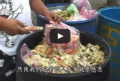 素食豬的由來