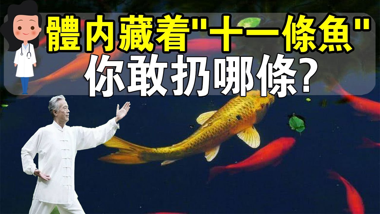 自己也能調好病！聽完了你就明白中醫養生和西醫治病的區別