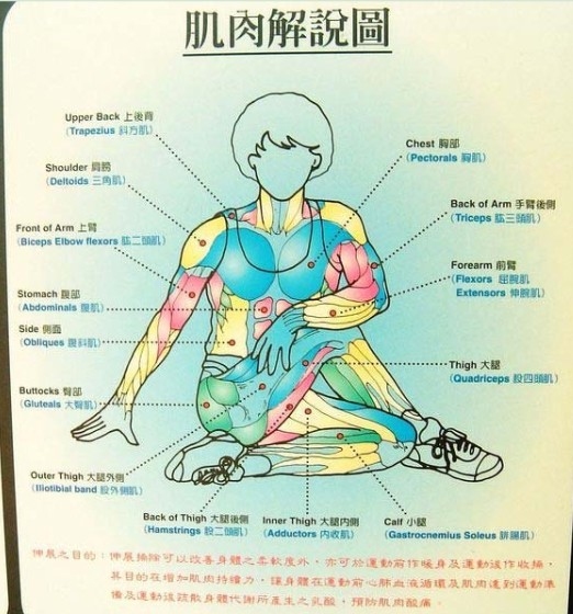 首次公開的拉筋術！【必學】