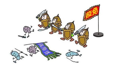 免疫力與人生