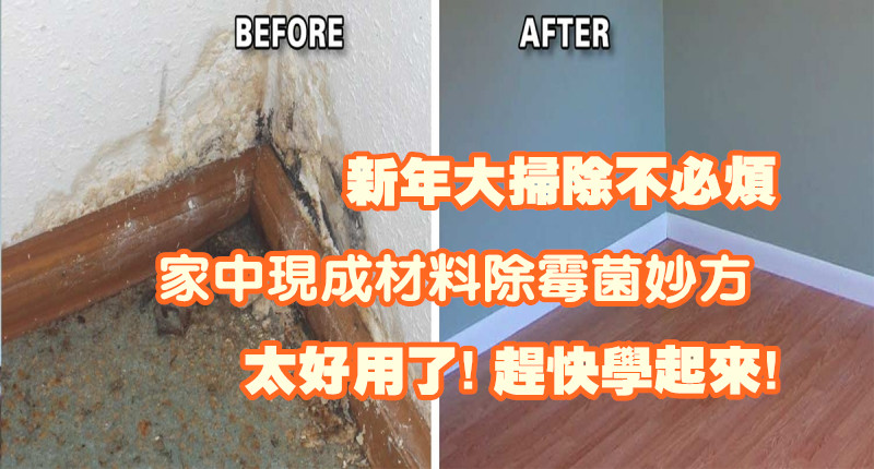 惱人的「黴菌」竟然用他們就可以去除！這些武器家裡一定都有。