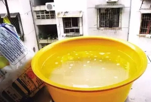 mosquito prevent 4
