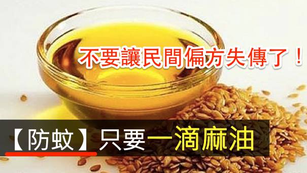 一滴麻油的偏方（驅蚊神效）