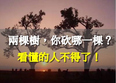 兩棵樹，你砍哪一棵？看懂得人不得了！