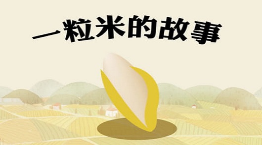 一粒米的故事