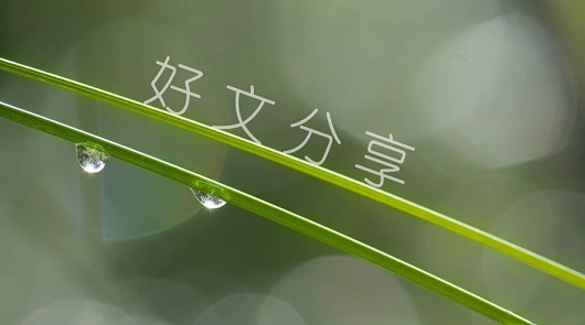 轉念看見幸福