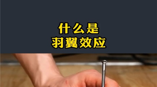 羽翼效應