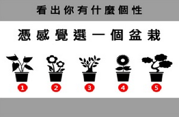 準！憑感覺選一個盆栽？看出你有什麼個性！ 